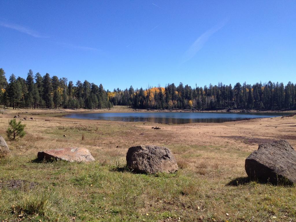 Mountain Haven Inn Pinetop-Lakeside Exteriör bild